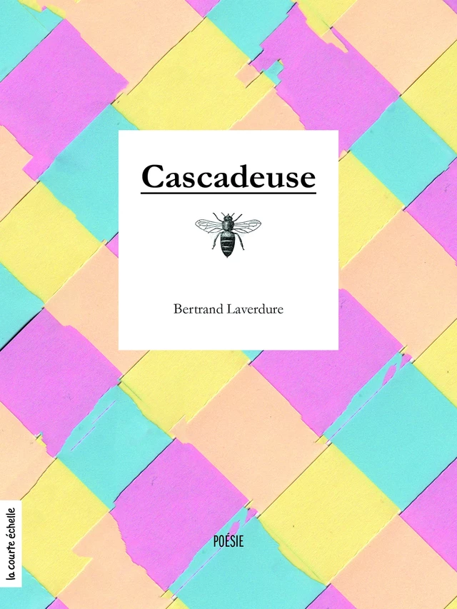 Cascadeuse - Bertrand Laverdure - La courte échelle