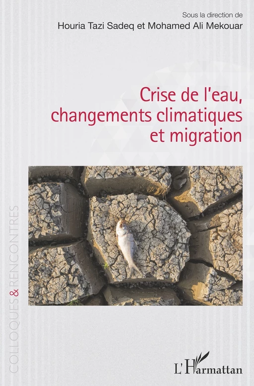 Crise de l'eau, changements climatiques et migration - Houria Tazi Sadeq, Mohamed Ali Mekouar - Editions L'Harmattan