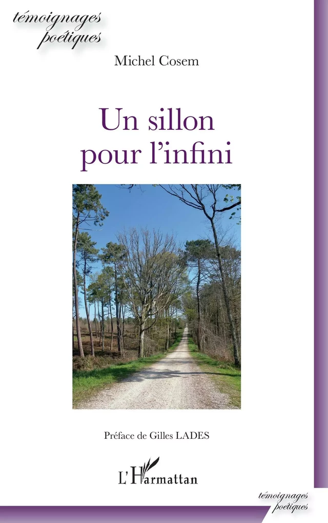 Un sillon pour l'infini - Michel Cosem - Editions L'Harmattan