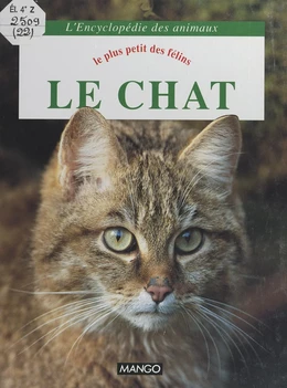 Le chat : le plus petit des félins