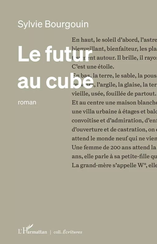 Le futur au cube - Sylvie Bourgouin - Editions L'Harmattan