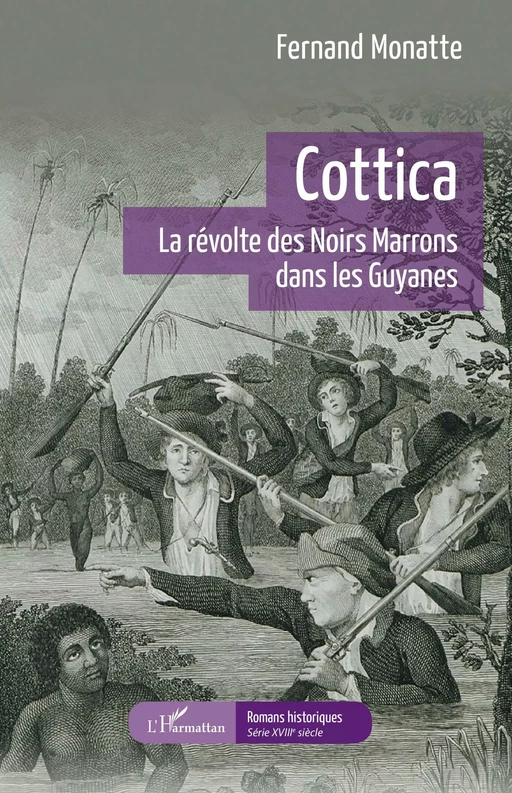 Cottica - Fernand Monatte - Editions L'Harmattan