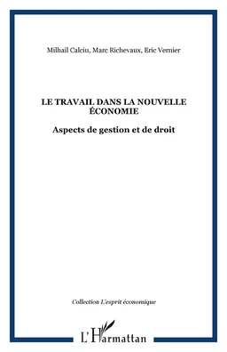 LE TRAVAIL DANS LA NOUVELLE ÉCONOMIE