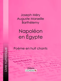 Napoléon en Égypte