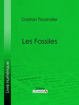 Les Fossiles