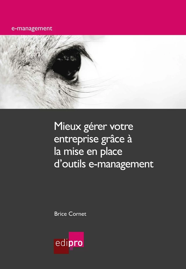 Mieux gérer votre entreprise grâce à la mise en place d'outils e-management - Brice Cornet - EdiPro