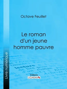 Le roman d'un jeune homme pauvre