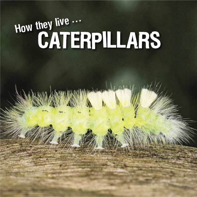 How they live... Caterpillars - David Withrington, Ivan Esenko - Okaši