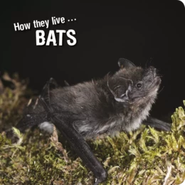 How they live... Bats