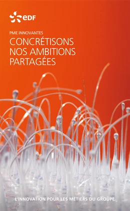 EDF PME innovantes - L'innovation pour les métiers du groupe