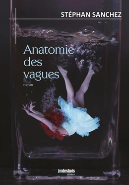 Anatomie des vagues