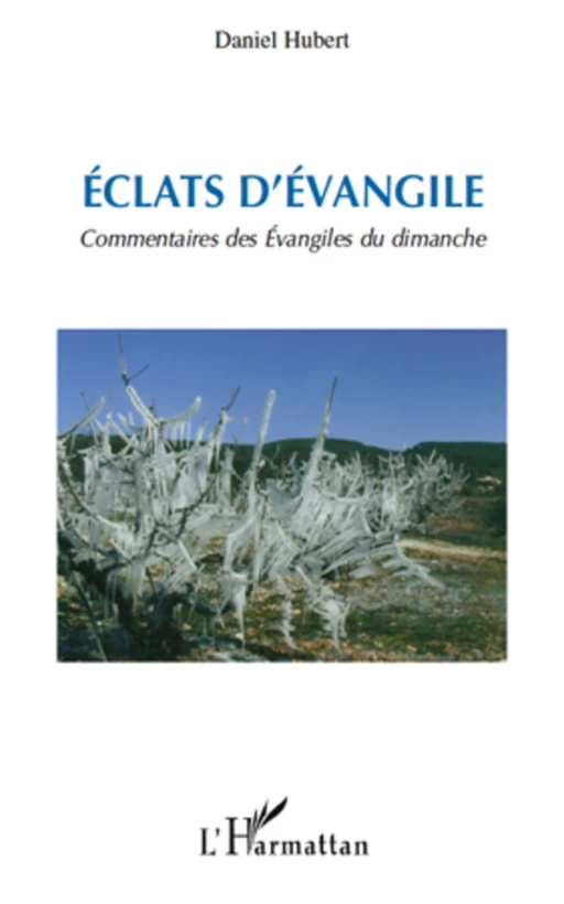 Eclats d'Evangile - Daniel Hubert - Editions L'Harmattan