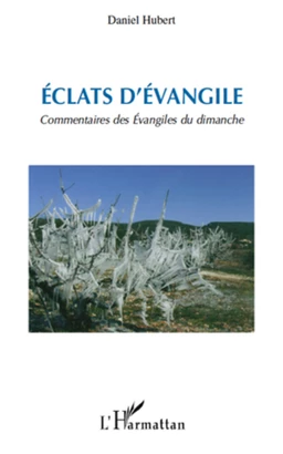 Eclats d'Evangile