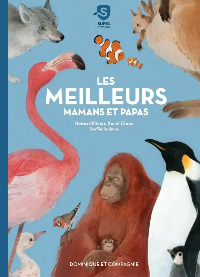 Les meilleurs mamans et papas - Reina Ollivier, Karel Claes - Dominique et compagnie