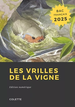 Les vrilles de la vigne