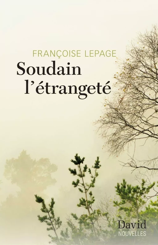 Soudain l'étrangeté - Françoise Lepage - Éditions David