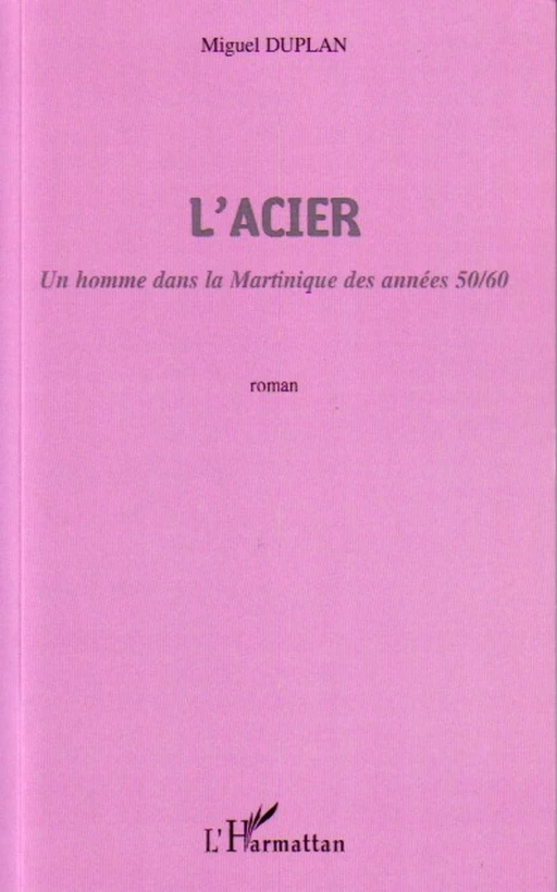 L'Acier - Miguel Duplan - Editions L'Harmattan