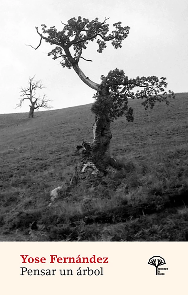 Pensar un árbol - Yose Fernández - El Drago