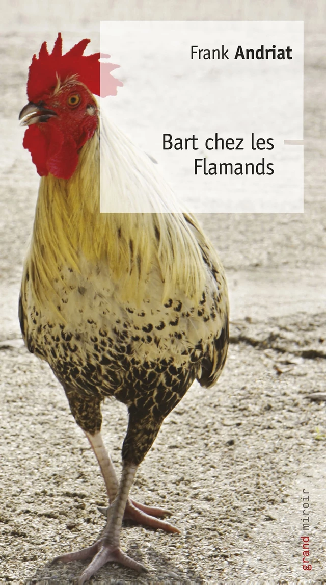 Bart chez les Flamands - Frank Andriat - Renaissance du livre