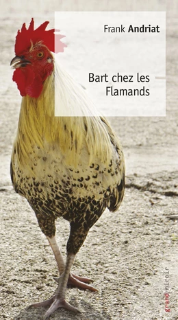 Bart chez les Flamands