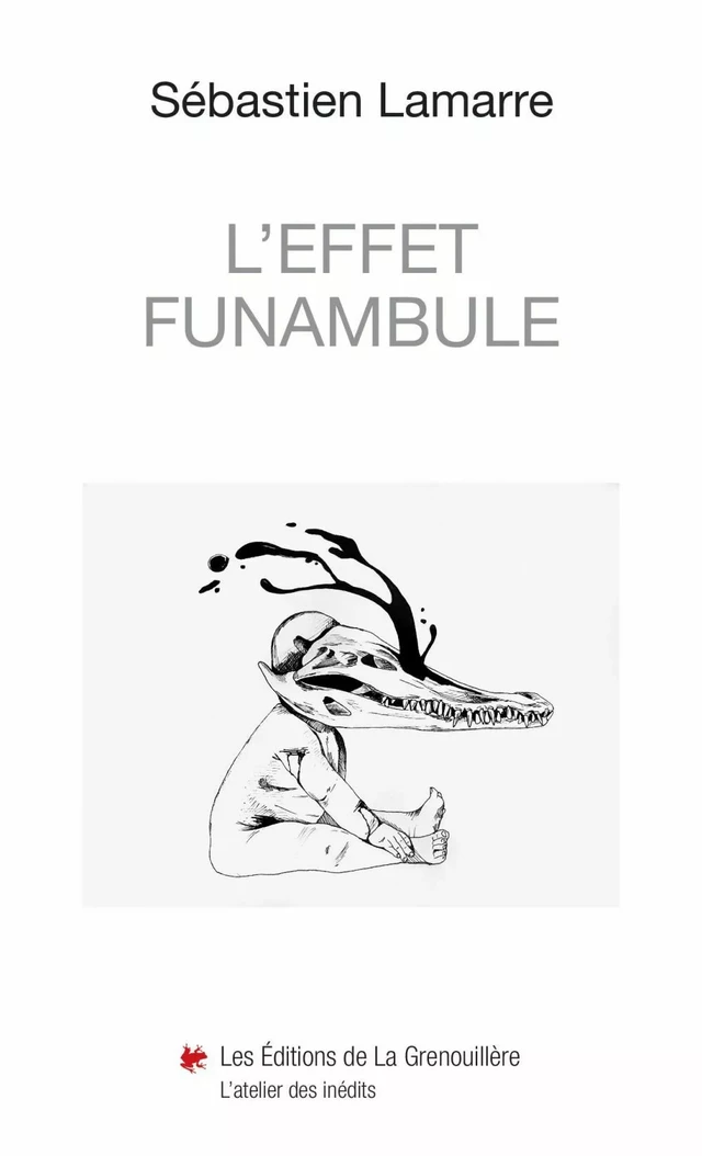 L’effet funambule - Sébastien Lamarre - Éditions De La Grenouillère Inc.