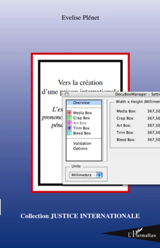 Vers la création d'une prison internationale - Evelise Plénet - Editions L'Harmattan