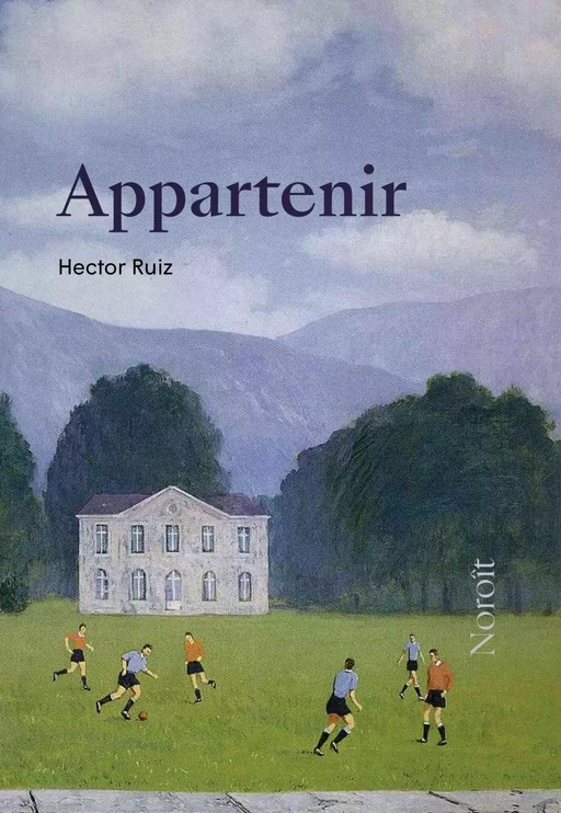 Appartenir - Hector Ruiz - Éditions du Noroît