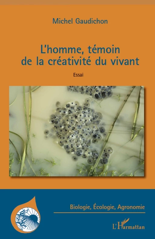 L'homme, témoin de la créativité du vivant - Michel Gaudichon - Editions L'Harmattan