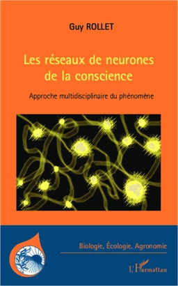 Les réseaux de neurones de la conscience