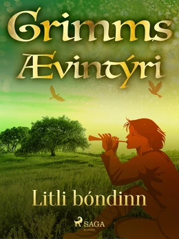 Litli bóndinn