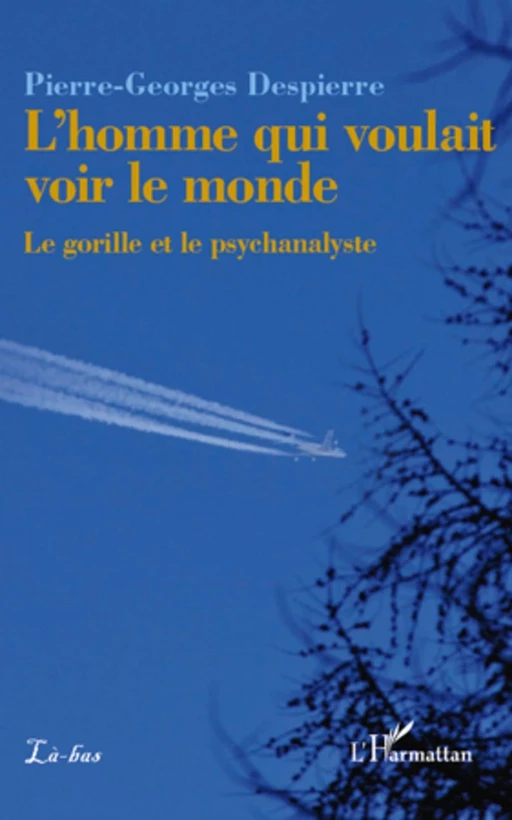 L'homme qui voulait voir le monde - Pierre-Georges Despierre - Editions L'Harmattan