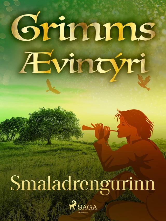 Smaladrengurinn -  Grimmsbræður - Saga Egmont International