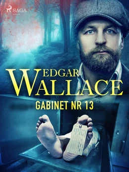 Gabinet nr 13