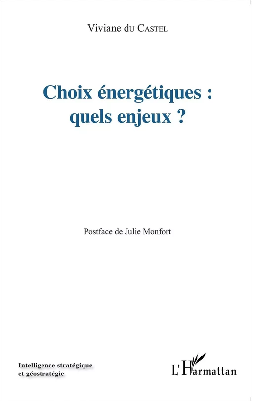 Choix énergétiques : quels enjeux? - Viviane Du Castel - Editions L'Harmattan