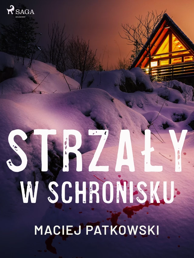 Strzały w schronisku - Maciej Patkowski - Saga Egmont International