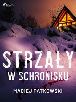 Strzały w schronisku