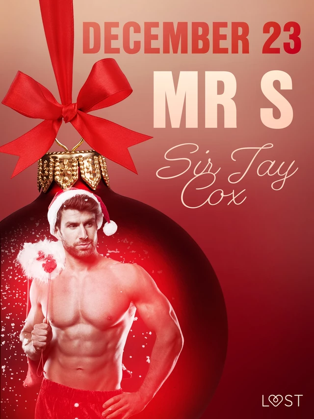 December 23: Mr S – An Erotic Christmas Calendar - Sir Jay Cox - Saga Egmont International