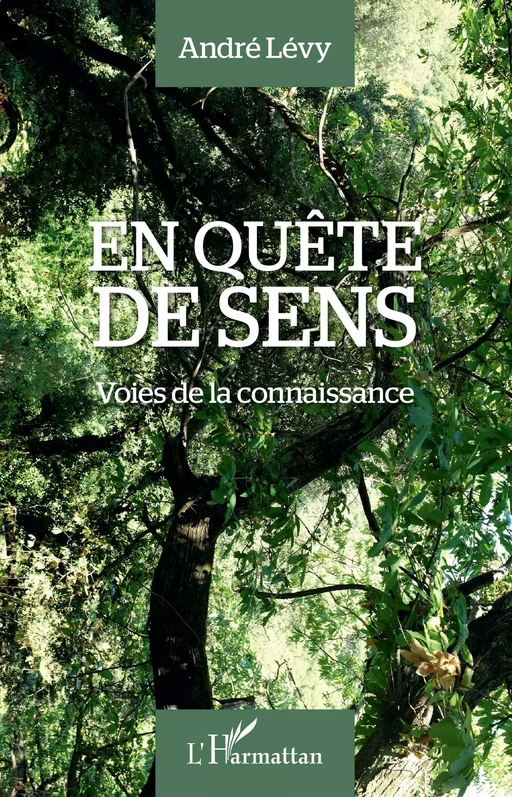 En quête de sens - André Lévy - Editions L'Harmattan