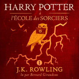 Harry Potter à L’école des Sorciers