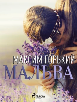 Мальва