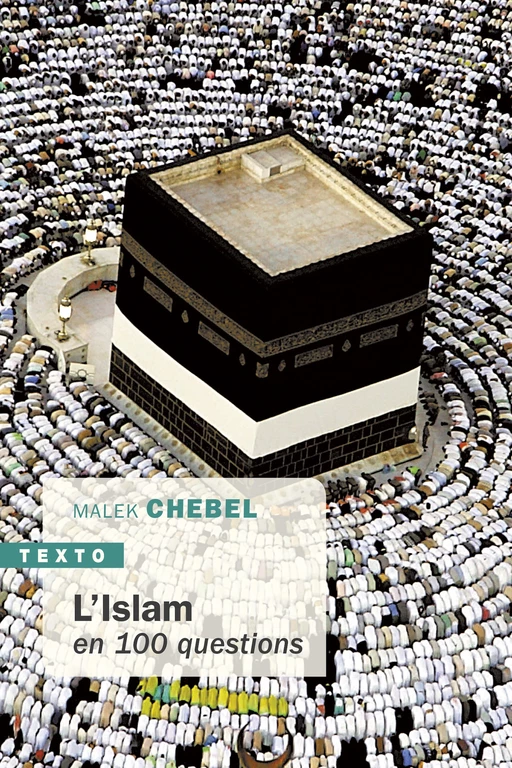 L'islam en 100 questions - Malek Chebel - Tallandier