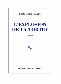 L'Explosion de la tortue