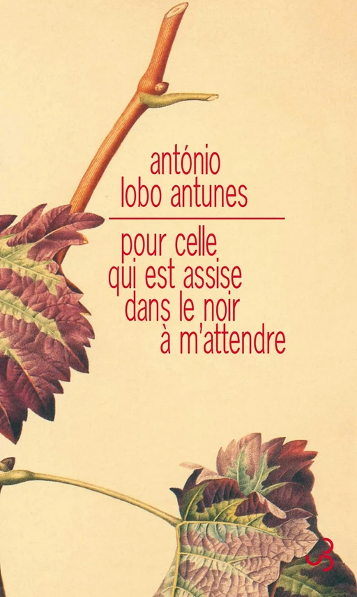 Pour celle qui est assise dans le noir à m'attendre - Antonio Lobo Antunes - Christian Bourgois