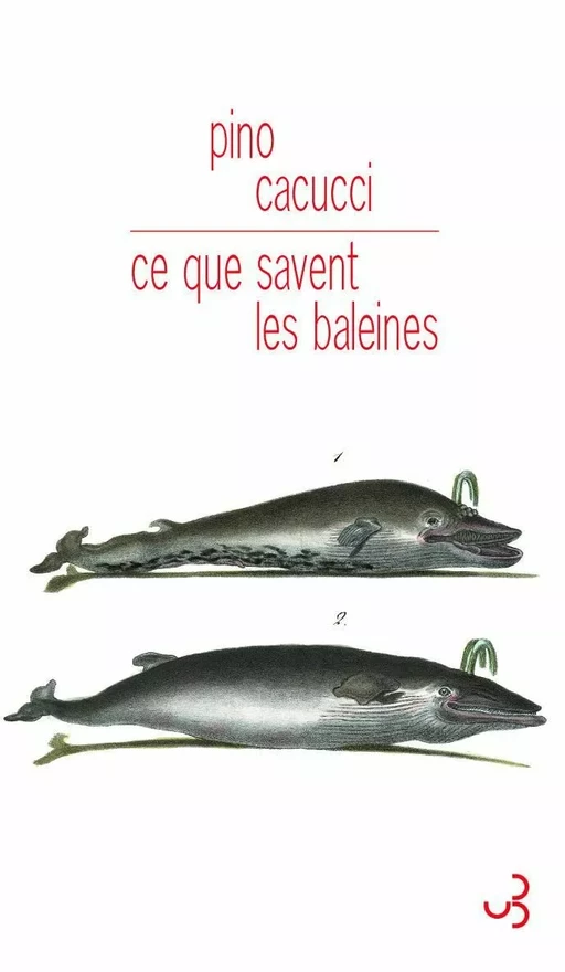 Ce que savent les baleines - Pino Cacucci - Christian Bourgois