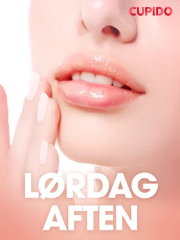 Lørdag aften - erotiske noveller