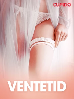 Ventetid  - erotiske noveller