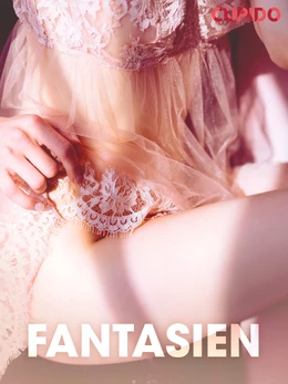 Fantasien – erotiske noveller