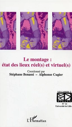 Le montage : état des lieux réel(s) et virtuel(s)