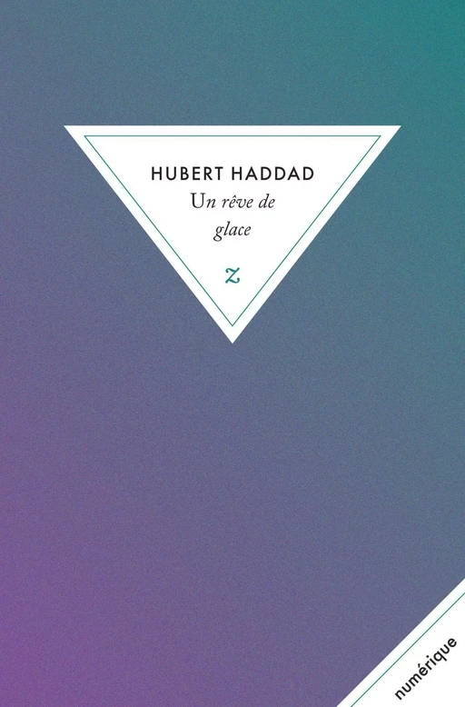 Un rêve de glace - Hubert Haddad - Zulma