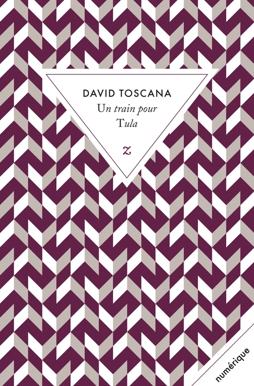 Un train pour Tula - David Toscana - Zulma